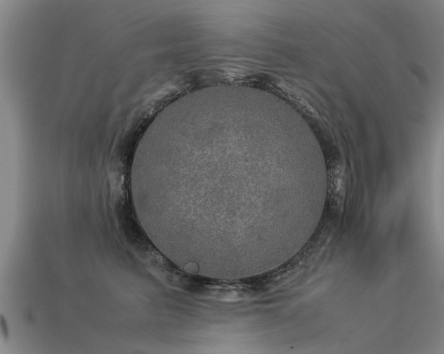 X0000113600615200909251157