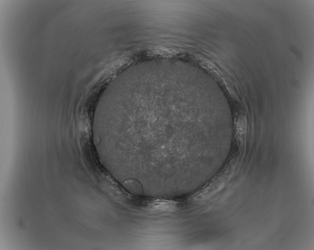 X0000113600617200909251157