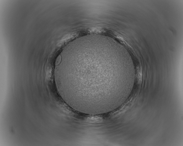 X0000113600619200909251157