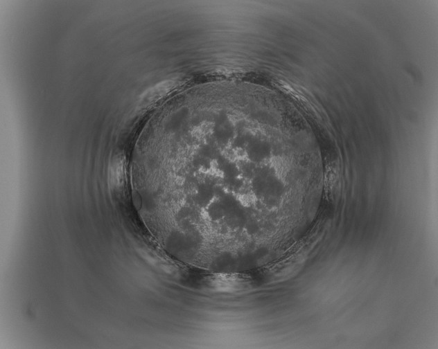 X0000113600623200909251157