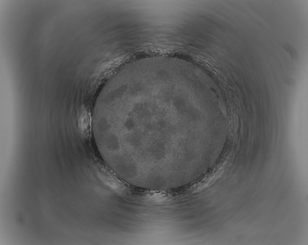 X0000113600624200909251157