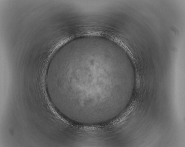 X0000113600625200909251156