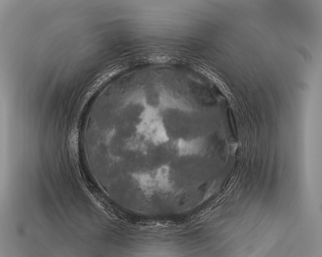 X0000113600626200909251156