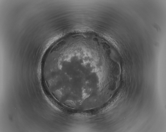 X0000113600630200909251156