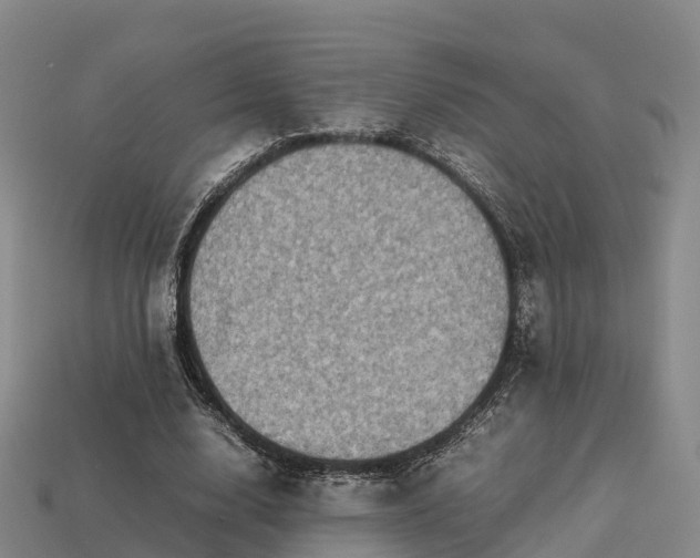 X0000113600632200909251156