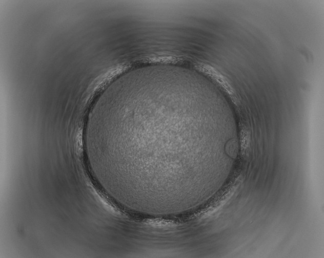 X0000113600633200909251157