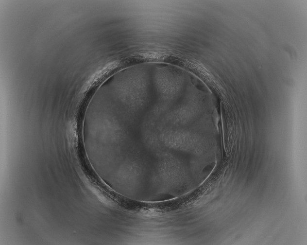 X0000113600634200909251157