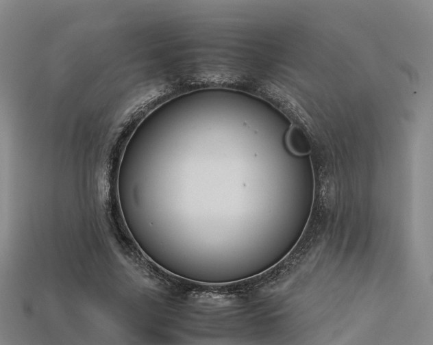 X0000113600635200909251157