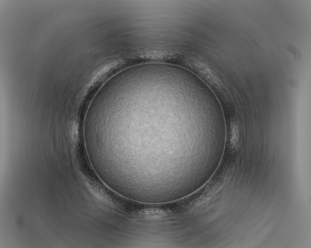 X0000113600636200909251157