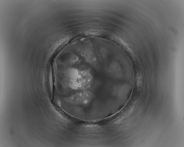 X0000113600637200909251157