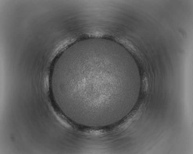 X0000113600638200909251157