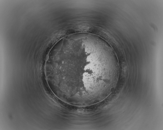 X0000113600641200909251157