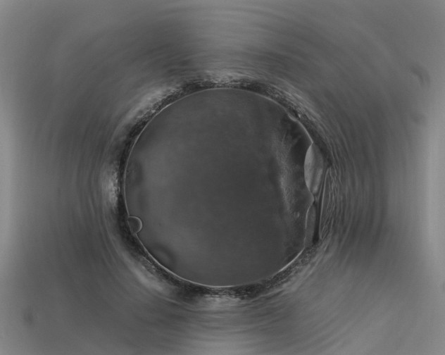 X0000113600644200909251157