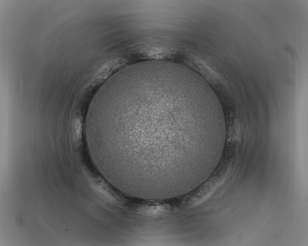 X0000113600646200909251157