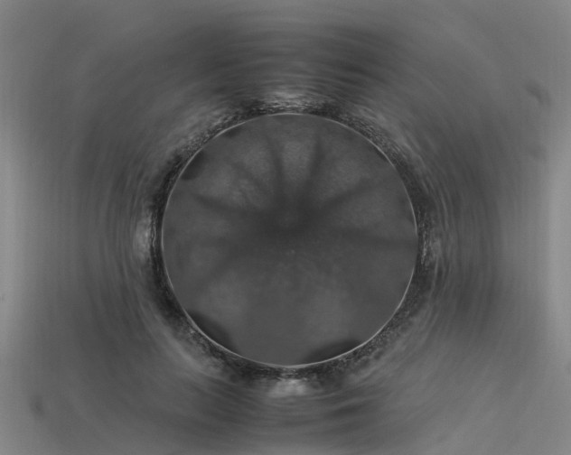 X0000113600647200909251157