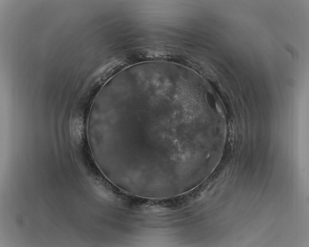 X0000113600648200909251157