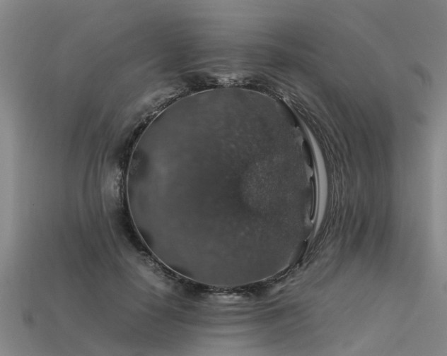 X0000113600650200909251157