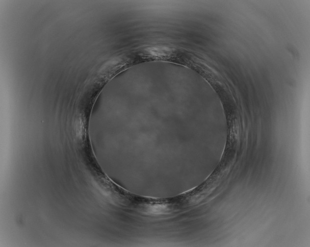 X0000113600651200909251157