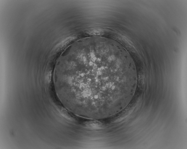 X0000113600652200909251157