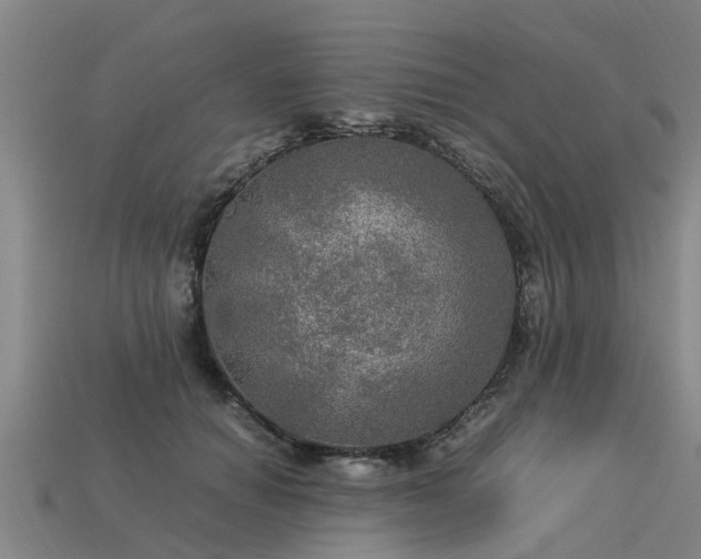 X0000113600654200909251157