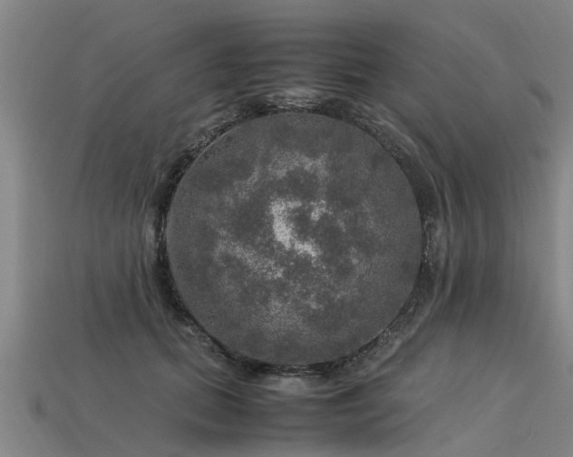 X0000113600655200909251157