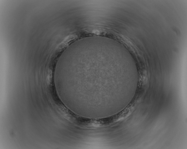 X0000113600656200909251157