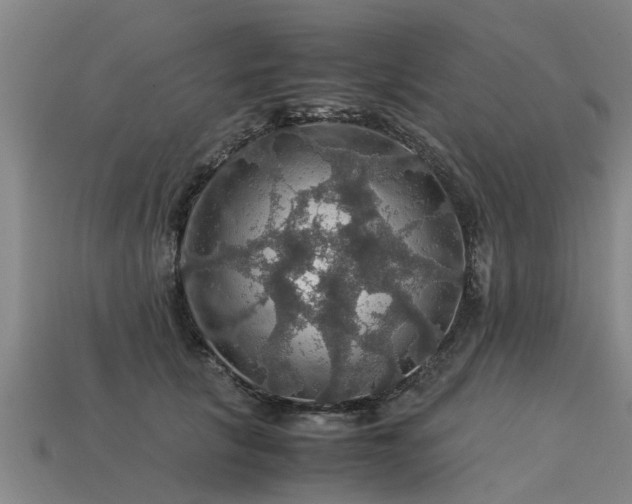 X0000113600657200909251157