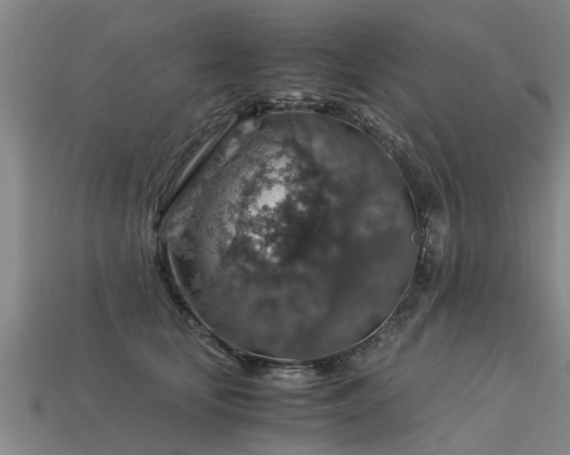 X0000113600659200909251157