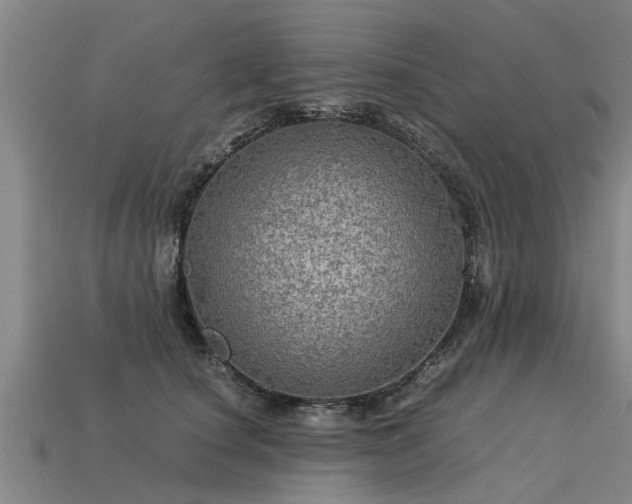 X0000113600660200909251157