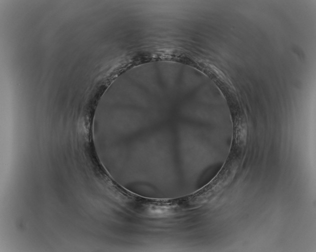 X0000113600661200909251157