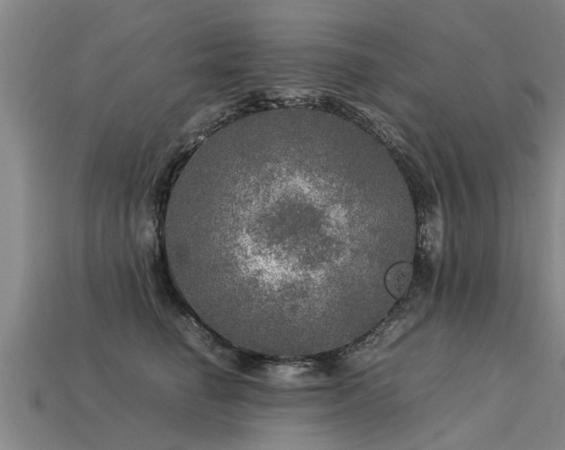 X0000113600662200909251157