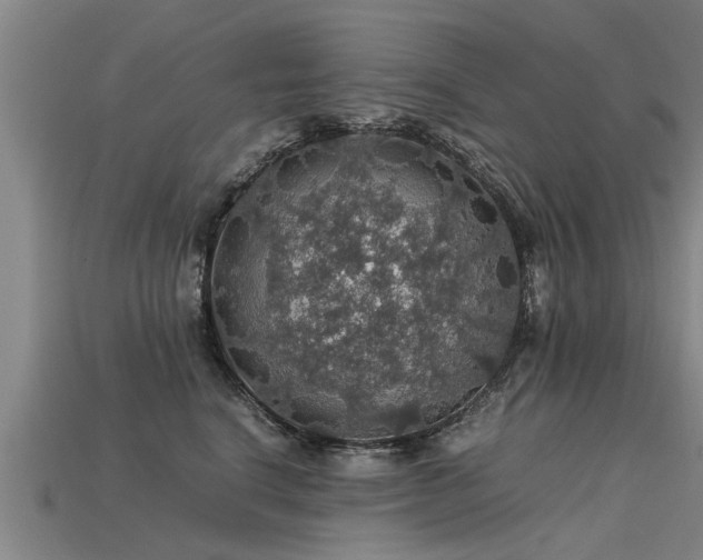 X0000113600664200909251157