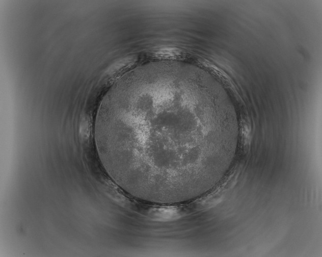 X0000113600665200909251157