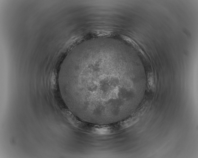 X0000113600667200909251157