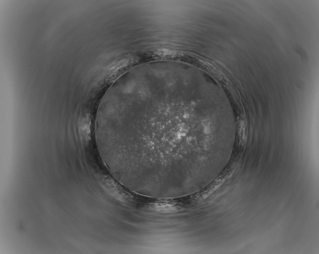 X0000113600668200909251157