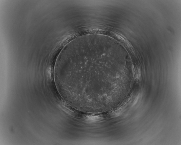 X0000113600669200909251157