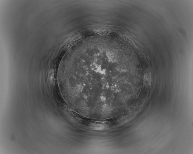 X0000113600671200909251157