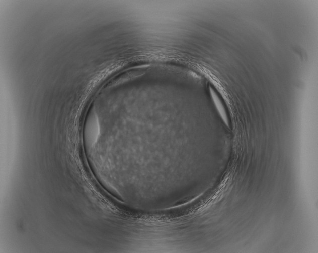 X0000113600673200909251156