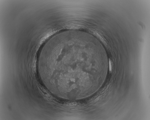 X0000113600675200909251156