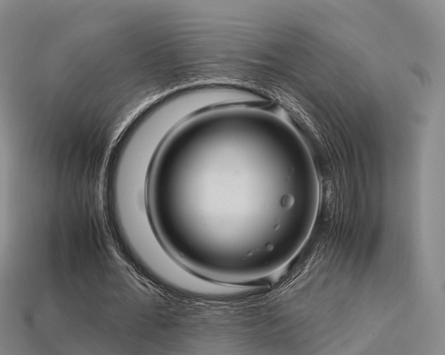 X0000113600676200909251156