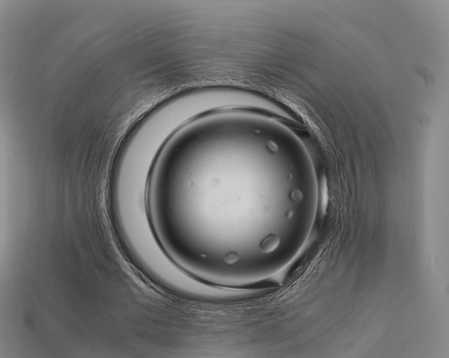 X0000113600677200909251156