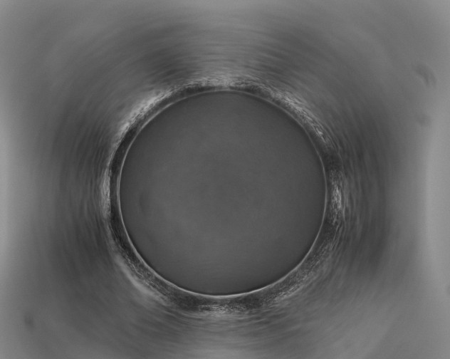 X0000113600678200909251156