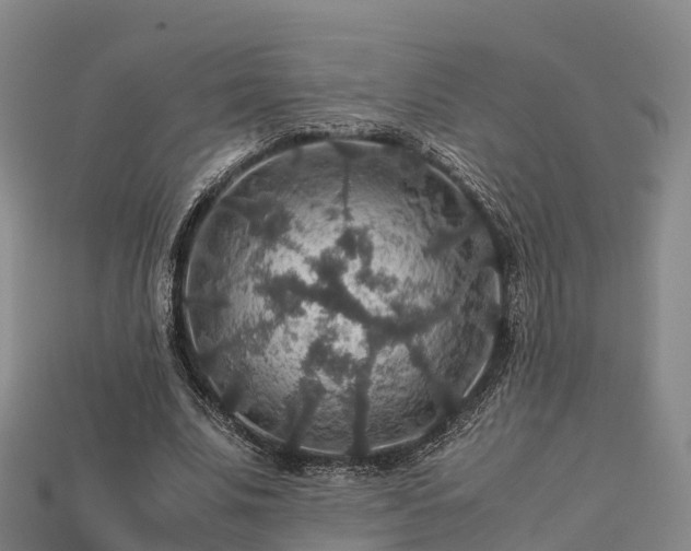 X0000113600679200909251156