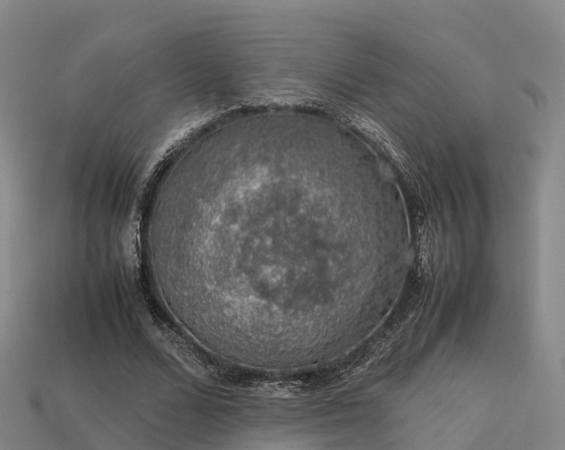 X0000113600680200909251156