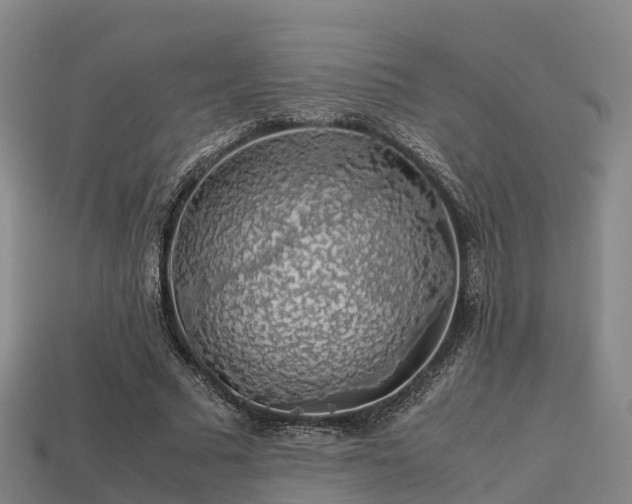 X0000113600681200909251156