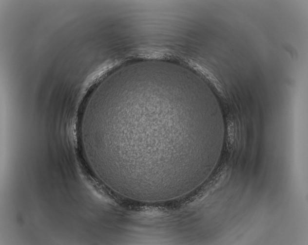 X0000113600682200909251156