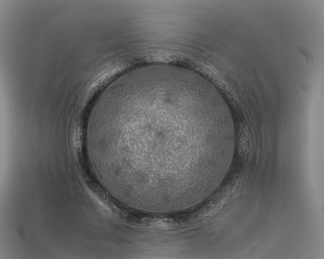 X0000113600683200909251156