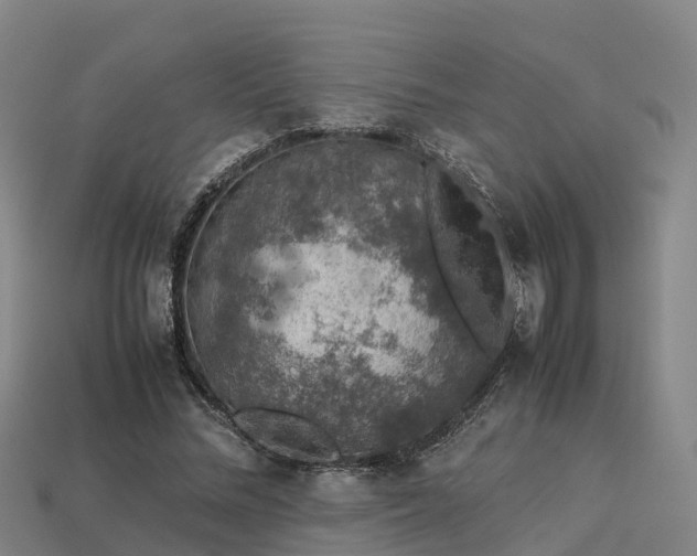 X0000113600684200909251156