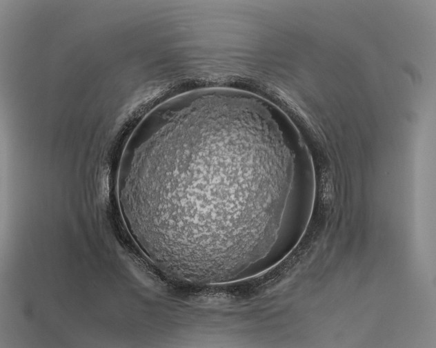 X0000113600685200909251156