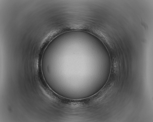 X0000113600686200909251156